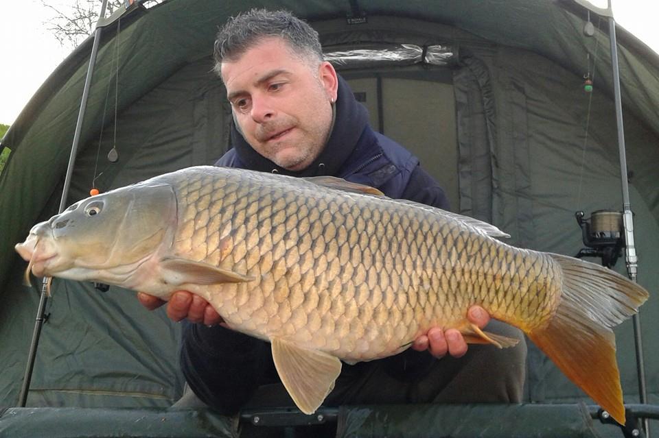 Carpfishing la modul meu 2015 - 11096501688732601248822185584901489968009n.jpg